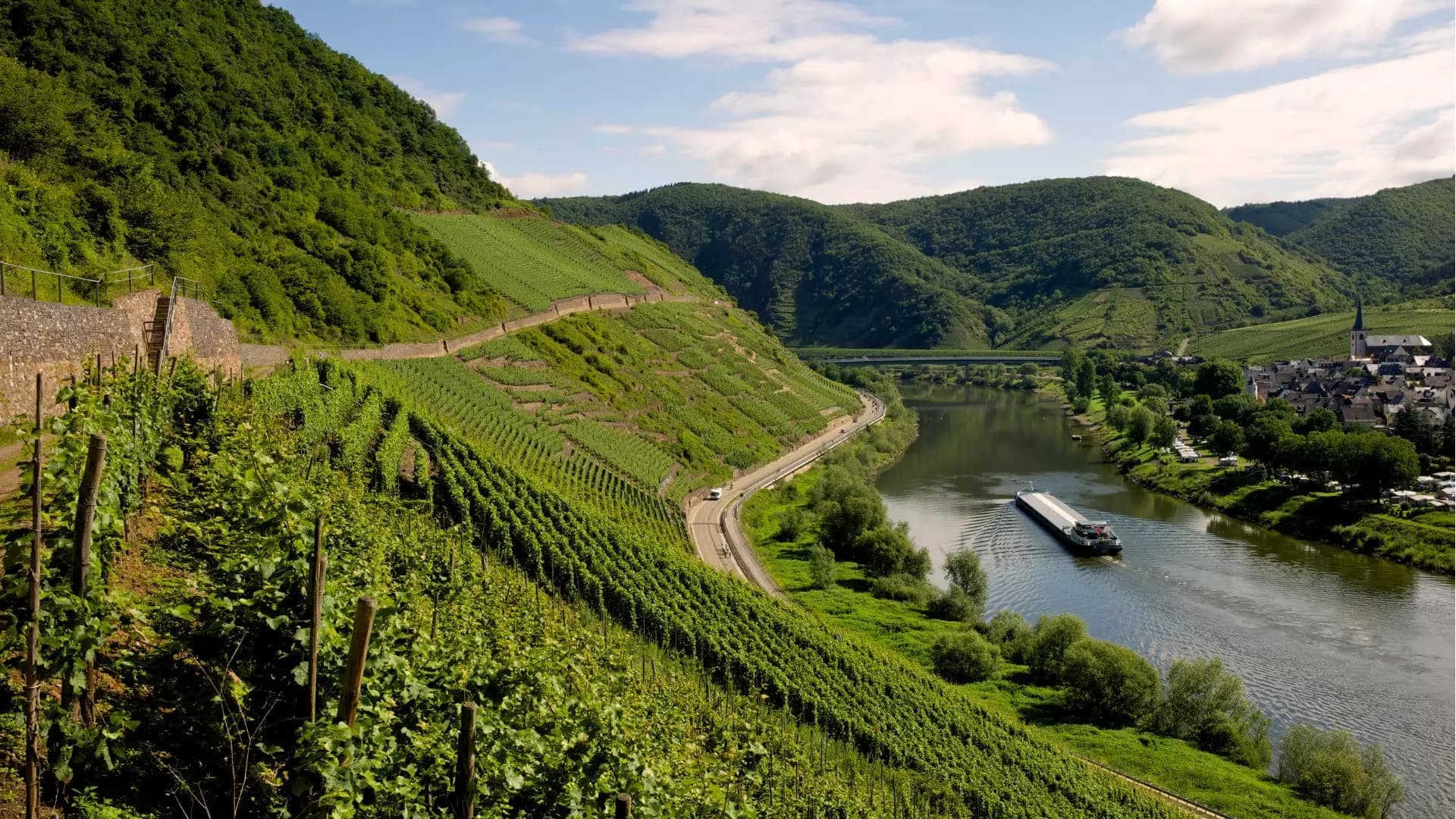 Galerie Bild 7 - Eindrücke von Pension Moselvilla, Zimmern und der Moselregion